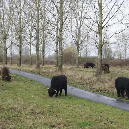 Nocleg ze śniadaniem Kessels Heerlijkheid Maren-Kessel