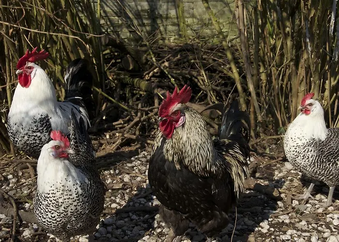 Bed and Breakfast Kessels Heerlijkheid 3*