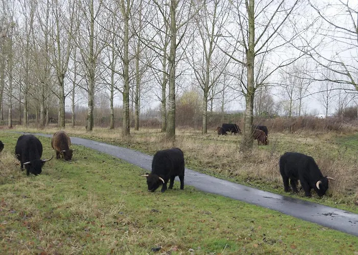 Bed and Breakfast Kessels Heerlijkheid Maren-Kessel