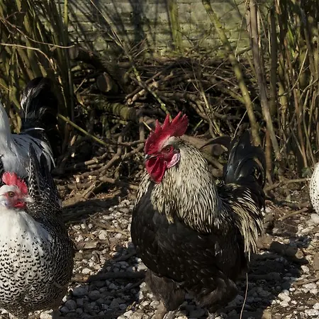 Bed & Breakfast Kessels Heerlijkheid 3*